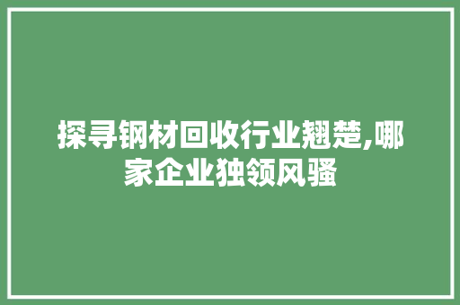 探寻钢材回收行业翘楚,哪家企业独领风骚