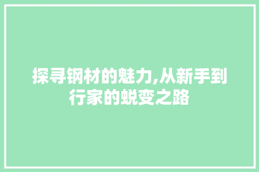 探寻钢材的魅力,从新手到行家的蜕变之路