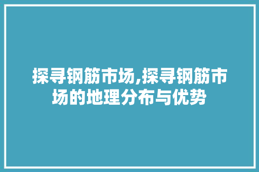 探寻钢筋市场,探寻钢筋市场的地理分布与优势