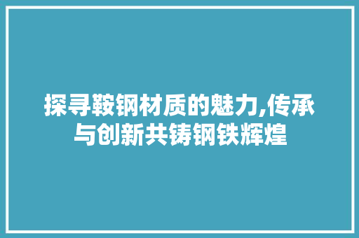 探寻鞍钢材质的魅力,传承与创新共铸钢铁辉煌