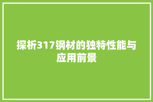 探析317钢材的独特性能与应用前景