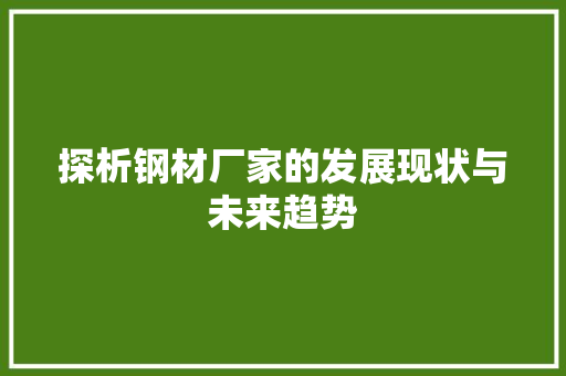 探析钢材厂家的发展现状与未来趋势