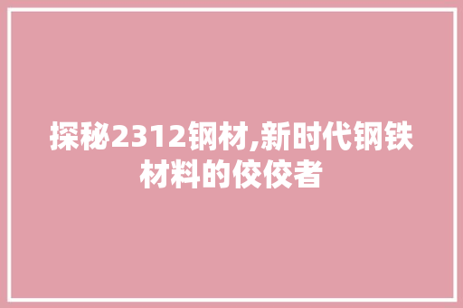 探秘2312钢材,新时代钢铁材料的佼佼者