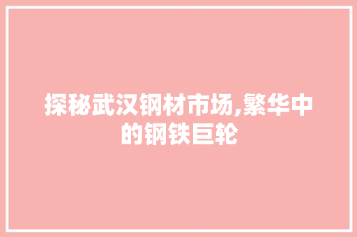 探秘武汉钢材市场,繁华中的钢铁巨轮