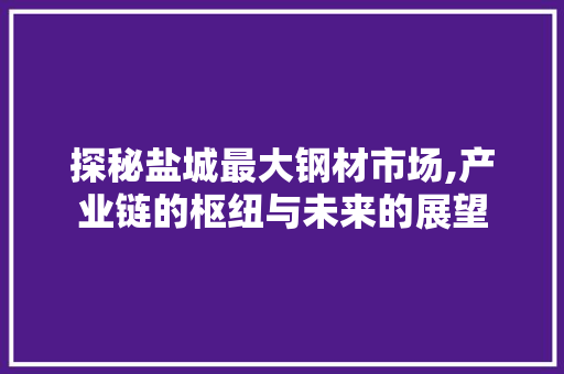 探秘盐城最大钢材市场,产业链的枢纽与未来的展望