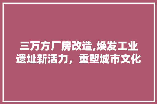 三万方厂房改造,焕发工业遗址新活力，重塑城市文化地标