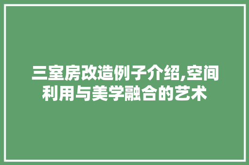 三室房改造例子介绍,空间利用与美学融合的艺术