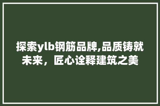 探索ylb钢筋品牌,品质铸就未来，匠心诠释建筑之美