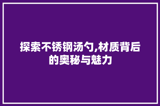 探索不锈钢汤勺,材质背后的奥秘与魅力