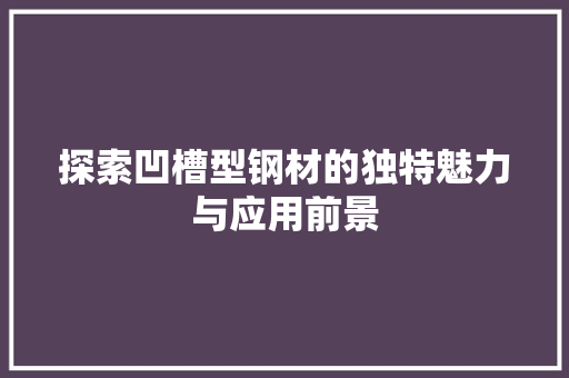 探索凹槽型钢材的独特魅力与应用前景