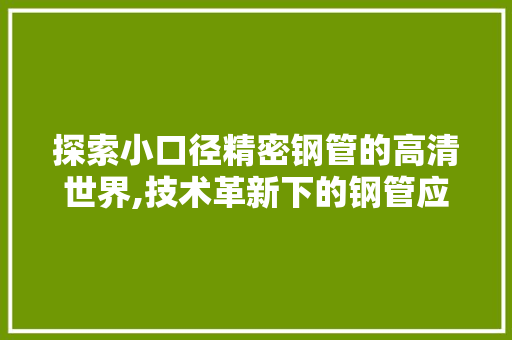 探索小口径精密钢管的高清世界,技术革新下的钢管应用新篇章