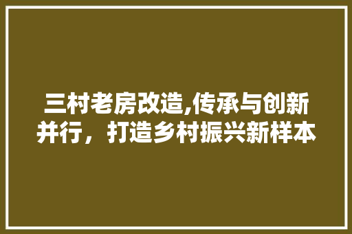 三村老房改造,传承与创新并行，打造乡村振兴新样本