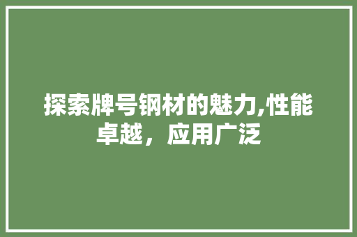 探索牌号钢材的魅力,性能卓越，应用广泛