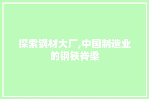 探索钢材大厂,中国制造业的钢铁脊梁