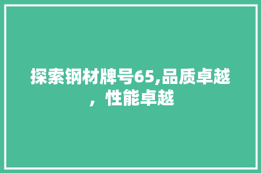 探索钢材牌号65,品质卓越，性能卓越