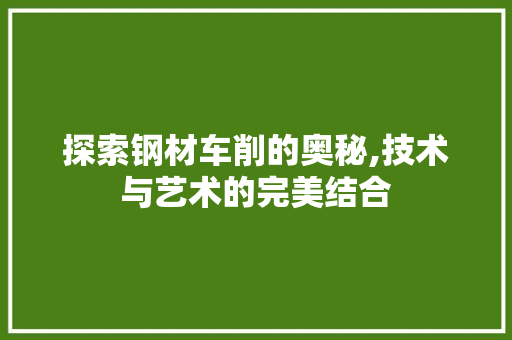 探索钢材车削的奥秘,技术与艺术的完美结合