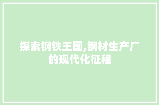 探索钢铁王国,钢材生产厂的现代化征程