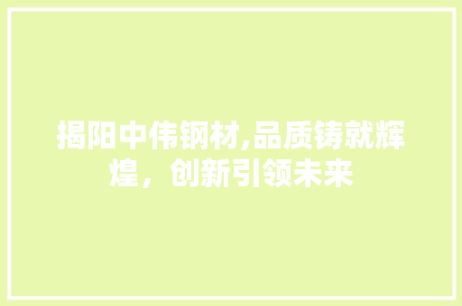 揭阳中伟钢材,品质铸就辉煌，创新引领未来