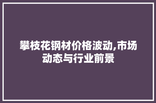 攀枝花钢材价格波动,市场动态与行业前景