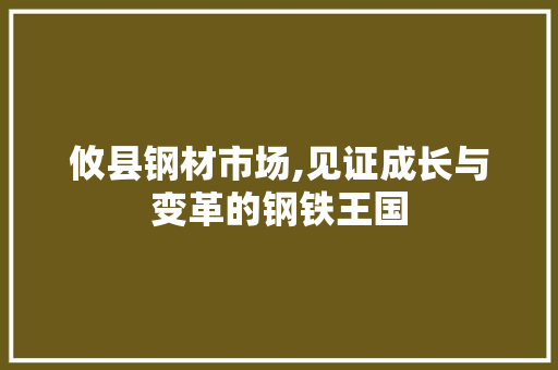 攸县钢材市场,见证成长与变革的钢铁王国
