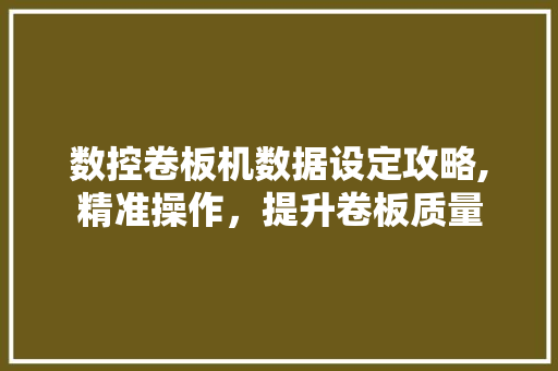 数控卷板机数据设定攻略,精准操作，提升卷板质量