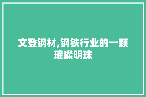 文登钢材,钢铁行业的一颗璀璨明珠