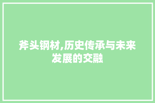 斧头钢材,历史传承与未来发展的交融