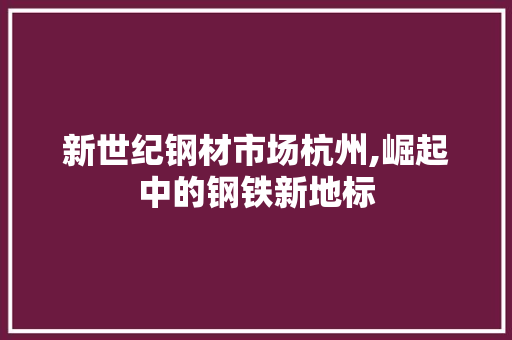 新世纪钢材市场杭州,崛起中的钢铁新地标
