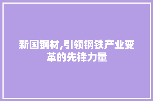 新国钢材,引领钢铁产业变革的先锋力量