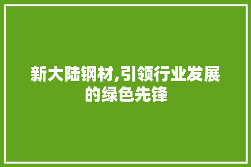 新大陆钢材,引领行业发展的绿色先锋