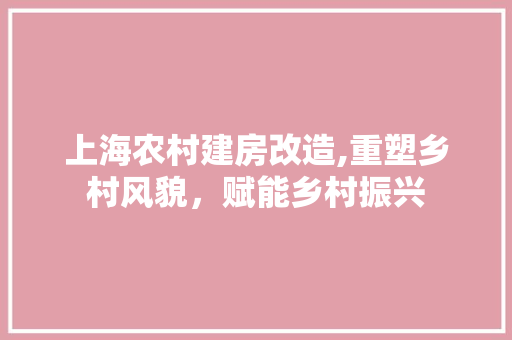 上海农村建房改造,重塑乡村风貌，赋能乡村振兴
