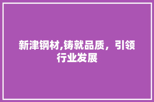 新津钢材,铸就品质，引领行业发展