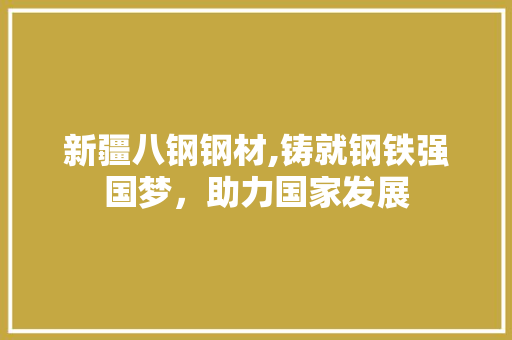 新疆八钢钢材,铸就钢铁强国梦，助力国家发展