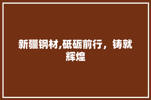 新疆钢材,砥砺前行，铸就辉煌