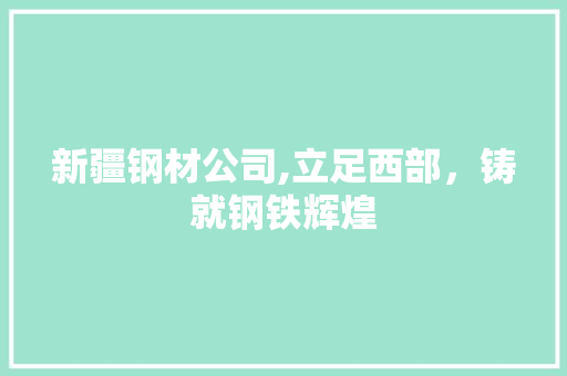 新疆钢材公司,立足西部，铸就钢铁辉煌