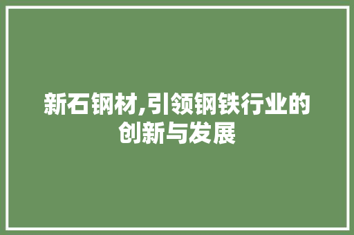 新石钢材,引领钢铁行业的创新与发展
