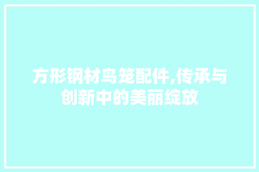 方形钢材鸟笼配件,传承与创新中的美丽绽放