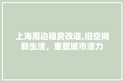 上海周边租房改造,旧空间新生活，重塑城市活力