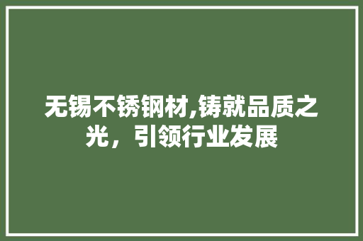 无锡不锈钢材,铸就品质之光，引领行业发展