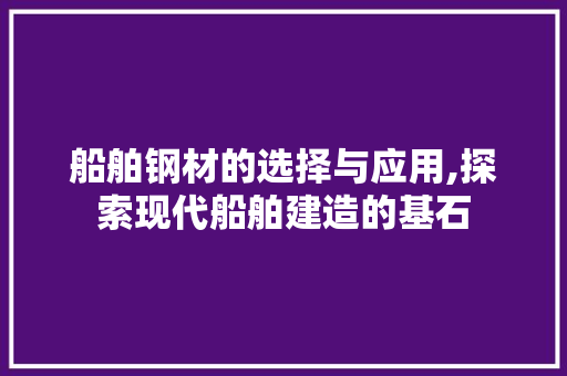 船舶钢材的选择与应用,探索现代船舶建造的基石