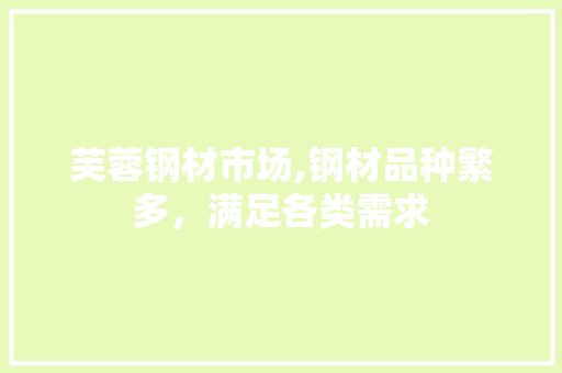 芙蓉钢材市场,钢材品种繁多，满足各类需求