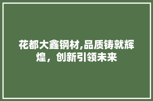 花都大鑫钢材,品质铸就辉煌，创新引领未来