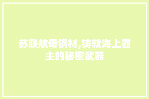 苏联航母钢材,铸就海上霸主的秘密武器
