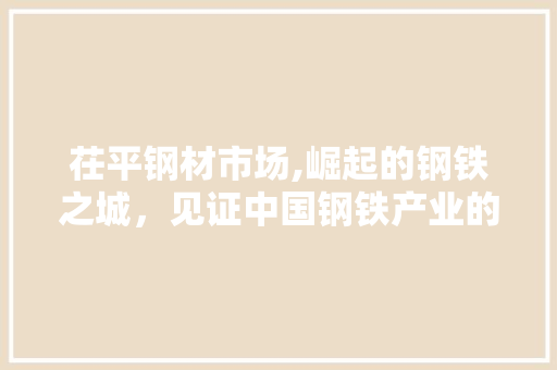 茌平钢材市场,崛起的钢铁之城，见证中国钢铁产业的蓬勃发展