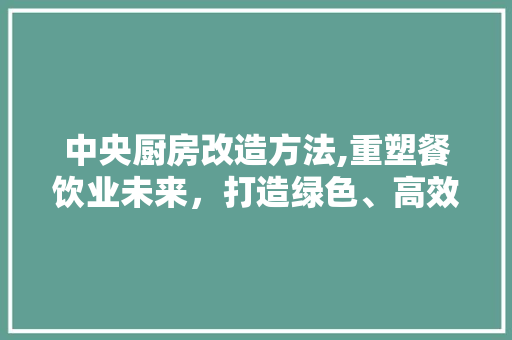中央厨房改造方法,重塑餐饮业未来，打造绿色、高效、安全的食品供应链