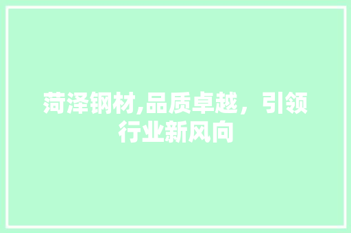菏泽钢材,品质卓越，引领行业新风向