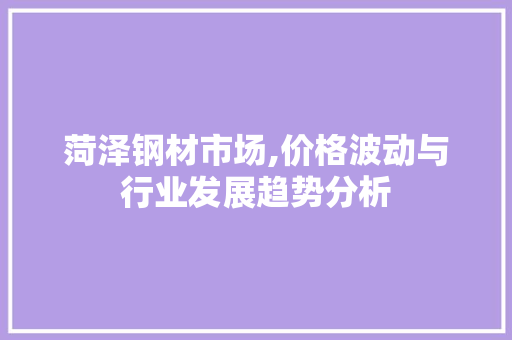 菏泽钢材市场,价格波动与行业发展趋势分析