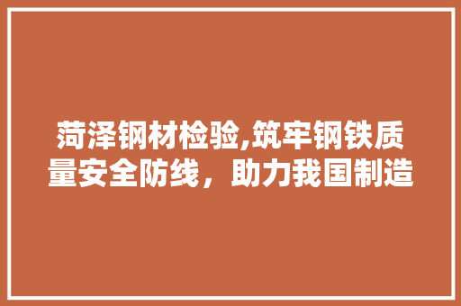 菏泽钢材检验,筑牢钢铁质量安全防线，助力我国制造业腾飞