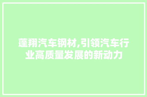 蓬翔汽车钢材,引领汽车行业高质量发展的新动力