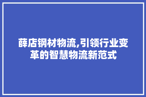 薛店钢材物流,引领行业变革的智慧物流新范式